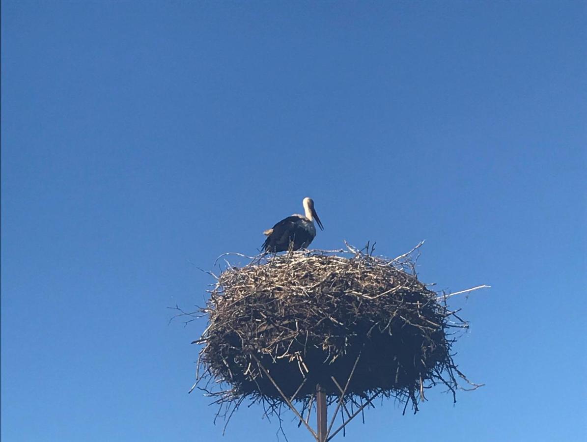 Gosciniec Twoje Mazury Nad Jeziorem Sniardwy Tuz Obok Plazy Nowe Guty Eksteriør billede