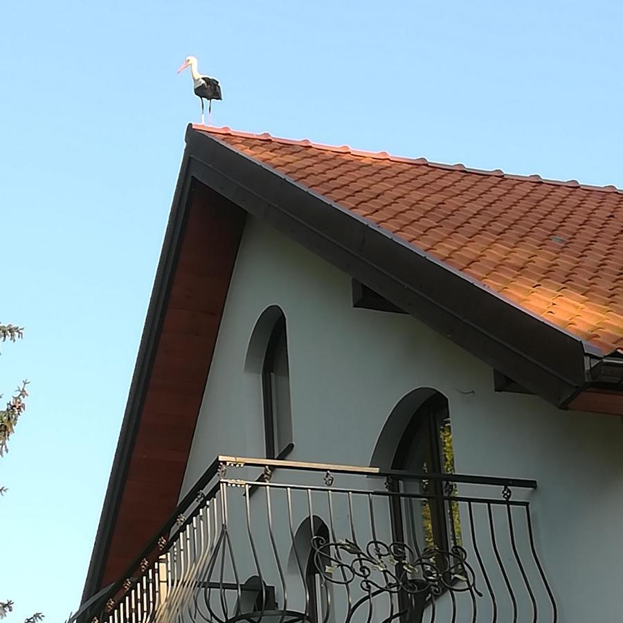 Gosciniec Twoje Mazury Nad Jeziorem Sniardwy Tuz Obok Plazy Nowe Guty Eksteriør billede